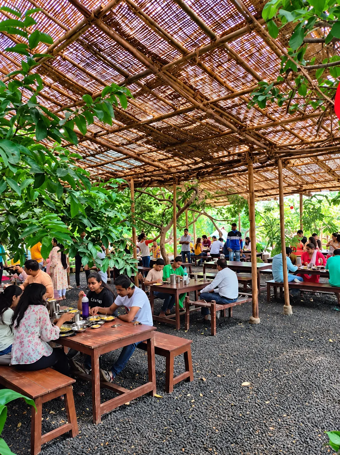 Guests dining under a bamboo canopy among guava trees